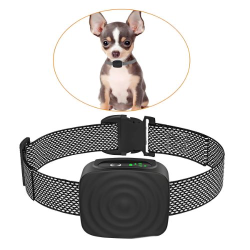 Collar Antiladridos Perro Pequeño