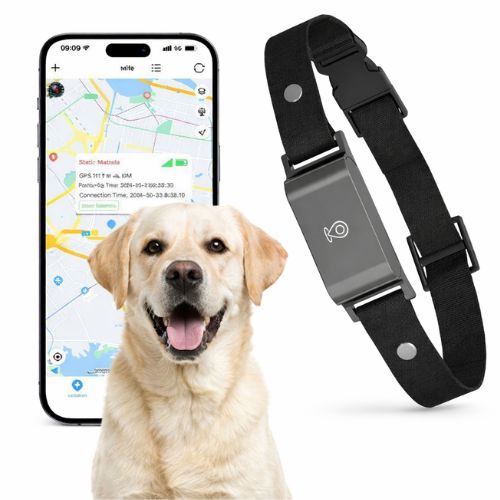 Collar GPS localizador para perros escapistas